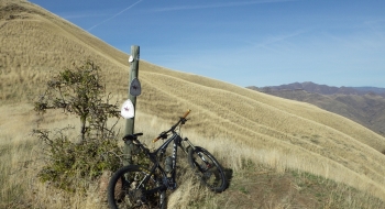Lone Pine Saddle
