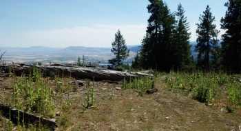The lower 317 starts just to the right here, at the end of a short road with a nice viewpoint.