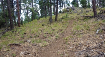 Part of the lower 317