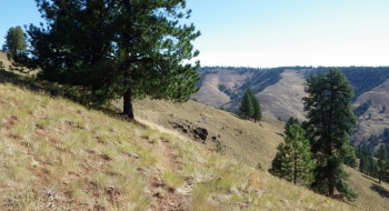 Nearing the top of Starvation Ridge, with the final ridge climb seen in the distance.