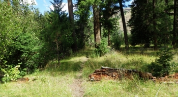 Swamp Creek Trail at the north end.