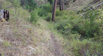 The trail has a promising start from Swamp Creek