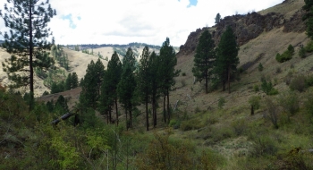 You basically bushwack up the bottom of this canyon for a ways. 