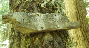 A sign on the tree at the bottom of the trail. 