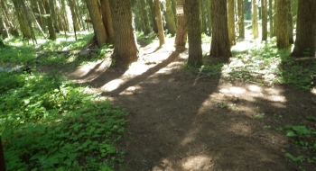 Intersection with Umatilla Rim Trail.