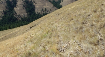 On the final ridge.