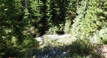 Killamacue Creek