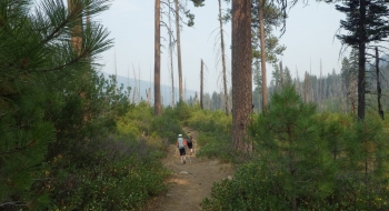 In the burnt area near the start of the trail. 