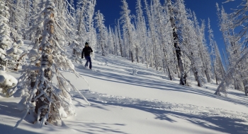 Skiing Charburger