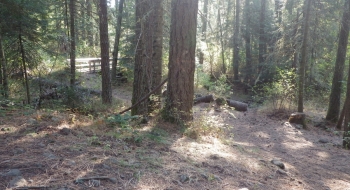 A bridge crossing Bear Creek.
