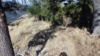 After topping out on Cougar Ridge, the trail mostly stays on the top of the ridge. 