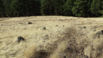 The trail is rough and feint as it climbs up the barren ridge. 