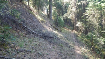 Look for the Cougar Ridge Trail starting point where, it veers up the hill away from the river at 8.4 miles.