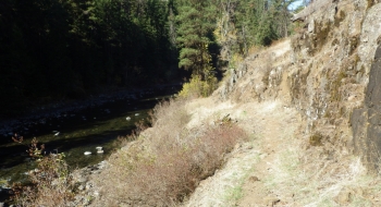 The trail is very brown in the fall.