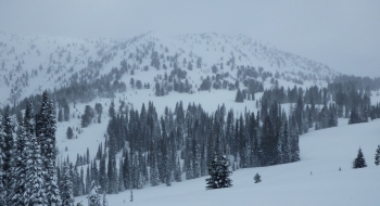 The ridge in the center of the picture with bigger trees is the target here.