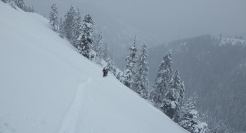 Skinning out of the Lookingglass Canyon