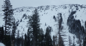 Flank of the eastern ridge of the basin.