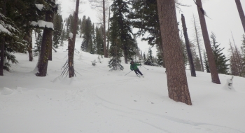 Skiing in some of the big, but open, trees of Dig Doug on the east aspect of Squaw Butte