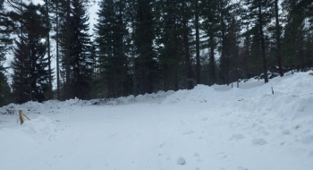 Possible place to park at the end of the plowed road, where it takes a left hand turn. 