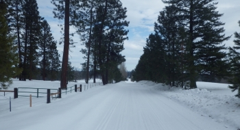 Bulger Flat Ln. is wide enough to park to the side. 