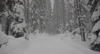 Groomed snowmobile trail up to the ridge.