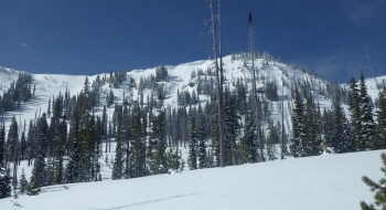 Some of the avalanche paths on the eastern flank of Squaw Butte ridge.