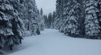 Much of the road riding looks like this after a snowfall. 