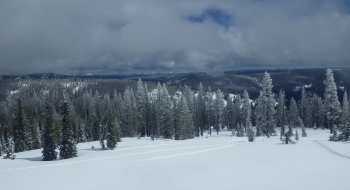 Looking toward the Wenaha-Tucannon Wilderness