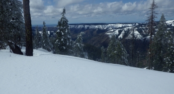 The different between deep snow and no snow is rather abrupt, looking down into the South Fork Walla Walla Canyon toward Harris Park.