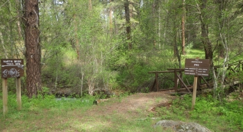 The Martin Bridge Trail starts at Eagle Forks Campground.