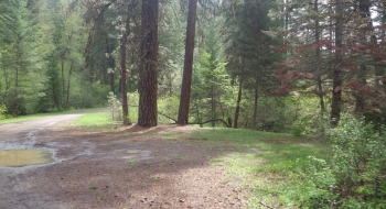 Limited Parking for the Martin Bridge Trail