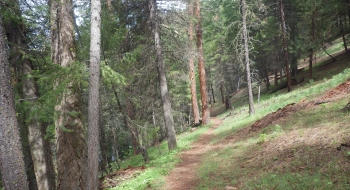 Martin Bridge Trail starts out okay but it needs a lot of work. 