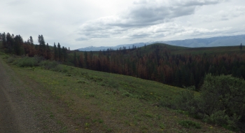 The Dry Gulch fire burned hot up this draw in September 2015.