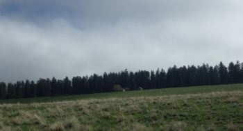 There is a corral and structure at the top on Cayuse Flat There is a corral and structure at the top on Cayuse Flat