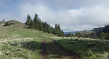 The road from Cayuse before it turns to ATV. The road from Cayuse before it turns to ATV.
