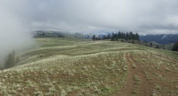 The ranchers leave a primitive double track, which can be interesting to have some choices. The ranchers leave a primitive double track, which can be interesting to have some choices.