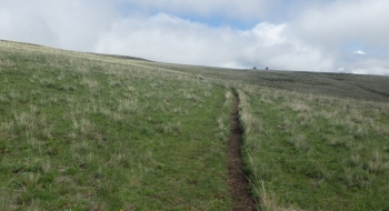 A singletrack section. A singletrack section.