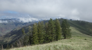 Looking over the west side of the ridge, where the road for Dug Bar winds along the river below. Looking over the west side of the ridge, where the road for Dug Bar winds along the river below.