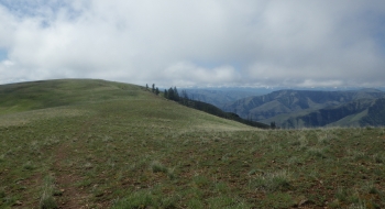 Looking south along the ridge, with the Wallowa Mountains on the top right. Looking south along the ridge, with the Wallowa Mountains on the top right.