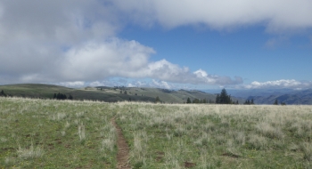 The trail rolls along the ridge, where the grassland is green after rains in the spring. The trail rolls along the ridge, where the grassland is green after rains in the spring.