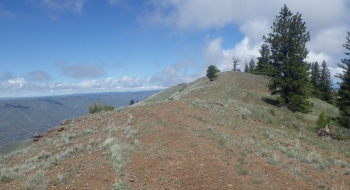 Here the road becomes very primitive and rolls to the west side of the ridge and a berm reduces it to a narrow ATV trail. Here the road becomes very primitive and rolls to the west side of the ridge and a berm reduces it to a narrow ATV trail.