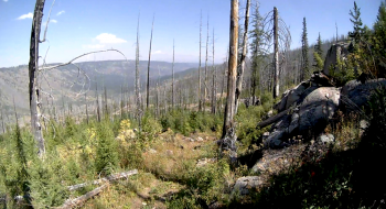 View from the top of the trail, looking down toward the South Fork Imnaha River