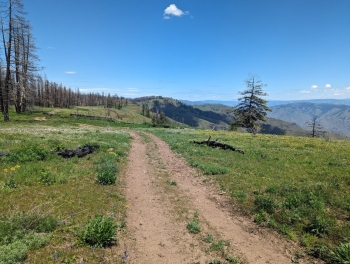 Post-fire pic of the road along the rim.
