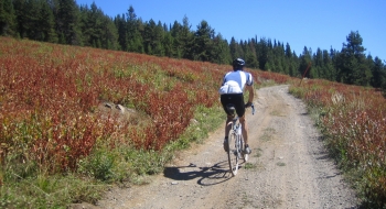 The rougher road above Moss Springs.