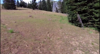 Entering the bottom of The Meadow with Mule Peak lookout visible at the top.