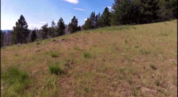 Nearing the junction with the Mule Peak Trail farther up the left of The Meadow.