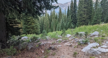 Trail toward Bear and Culver Lakes