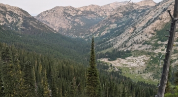 View of Eagle Meadows from the trail.