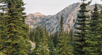 View across the valley from the trail.