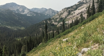 Looking back toward Cached Lake area.